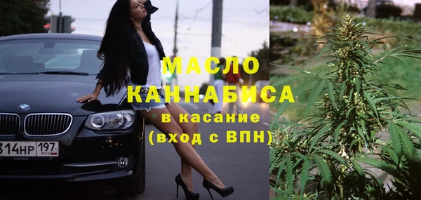 мет Алексин