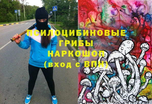 мет Алексин